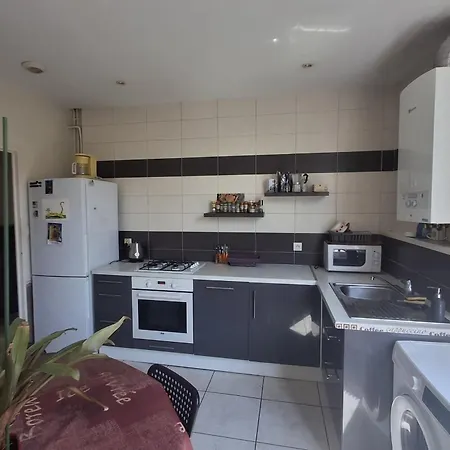 42m Proche Parc Blandan Et Rhône Appartement
